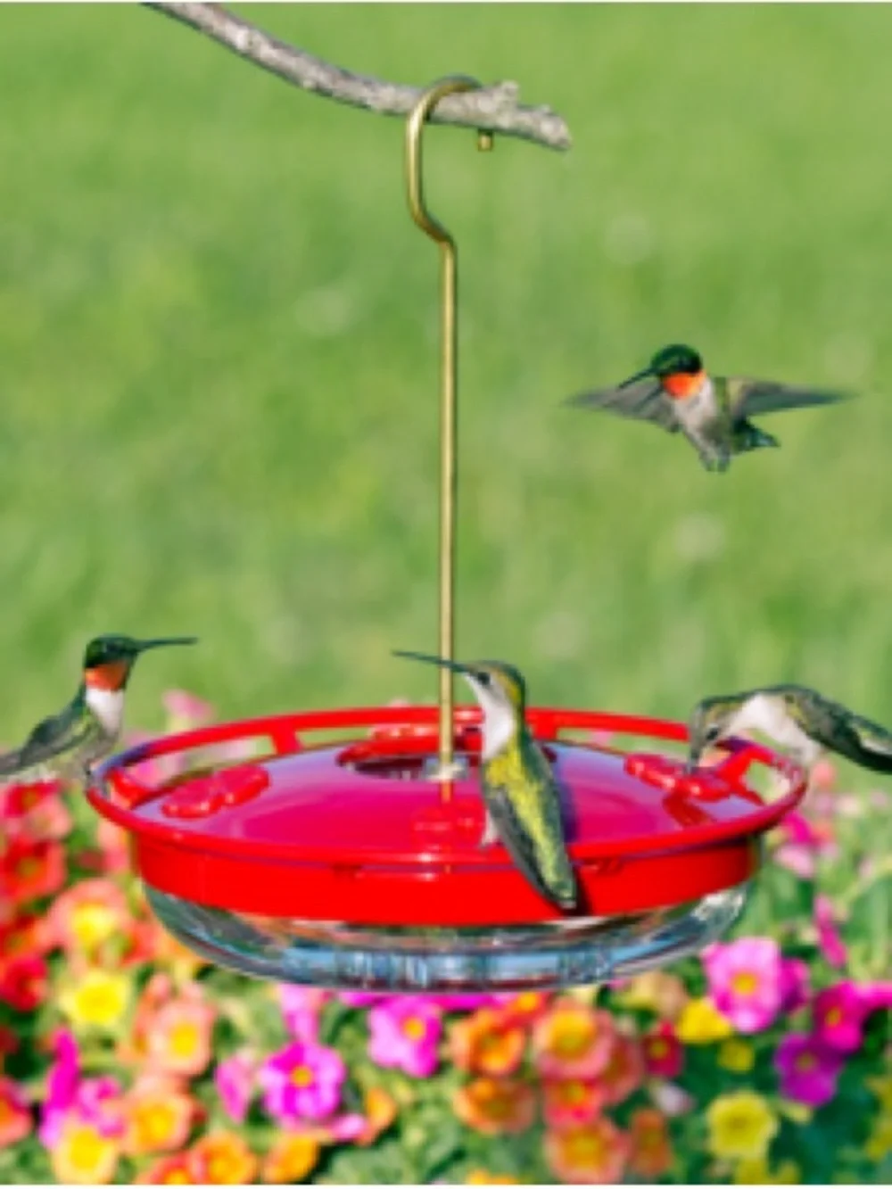 Aspects HummZinger Hummingbird Feeder - 12 oz